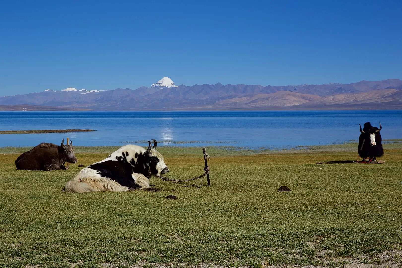 Kailash and Mansarovar
